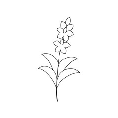 A Purple Larkspur Flower A Tall And Spiky Summer Blossom On A White Canvas