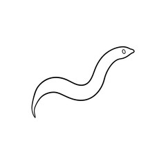 Obraz premium A Leech A Segmented And Blood Sucking Worm On An Isolated White Floor