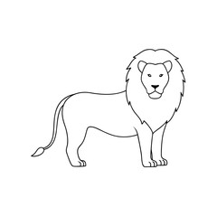 Fototapeta premium A Male Lion With A Full Mane A Powerful And Regal Big Cat On White