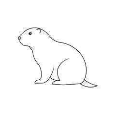 The Alpine Marmot A Mountain Dwelling Rodent On An Isolated White Surface