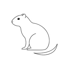 The Mohave Ground Squirrel A Desert Rodent On An Isolated White Background