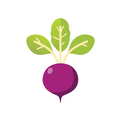 Vibrant Beetroot Illustration Fresh Produce FarmtoTable Healthy Eating Vegetable Graphic