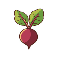 Vibrant Beetroot Illustration Fresh Produce Graphic
