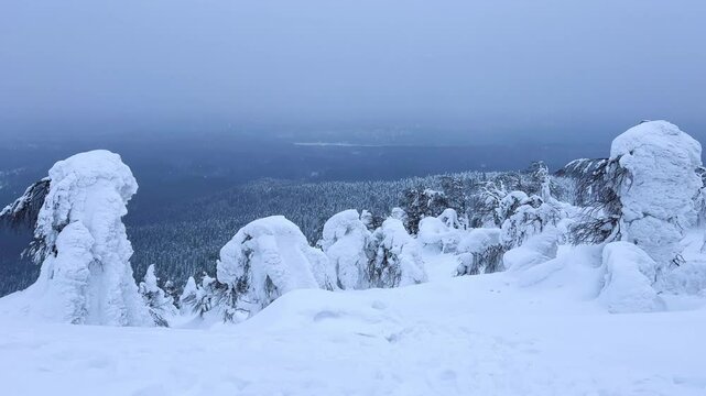 View of the white rocks and the winter forest on Mount Polyud. Lappish spruces on Mount Polyud in the Perm region in winter. In winter, there is a lot of snow and frost on the trees in the Urals. 4К