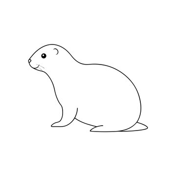 The Norway Lemming A Small Rodent From Scandinavia On A White Background