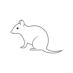 Obraz premium The Painted Tree Shrew A Colorful Mammal From Southeast Asia On White
