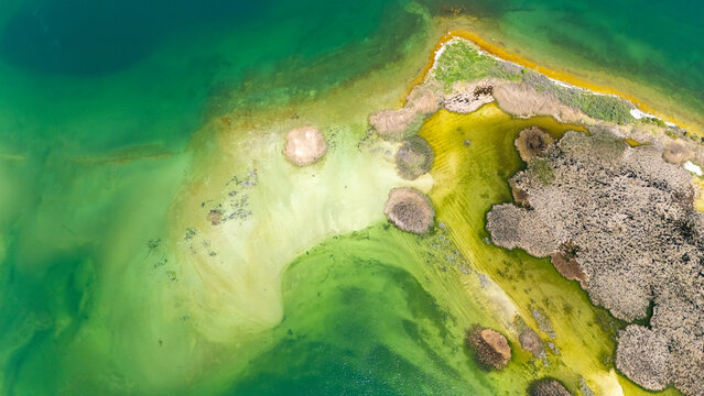 Scenic aerial drone image of a volcanic island surrounded by white sand coastline. Chayeri Island, Sevan, Armenia