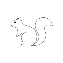 Obraz premium A Small Pine Squirrel A Common Tree Squirrel On An Isolated White Background