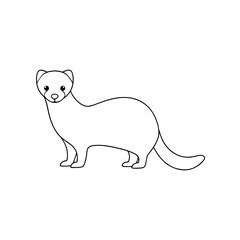 Obraz premium The European Polecat A Small Carnivorous Mammal On A Simple White Background