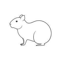 Agile Red Rumped Agouti Illustration for South American Wildlife