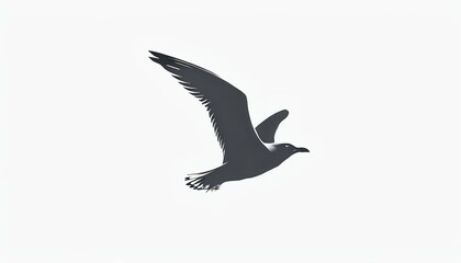 flying seagull silhouette on white background, bird silhouette in flight, minimal seagull illustration