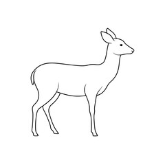 Fototapeta premium Majestic Sika Deer Outline on Pure White Background for Wildlife Designs