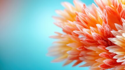 A beautiful close-up of vibrant flower petals showing intricate details and a striking color palette, capturing the delicate beauty of nature and the artistry found in botanical life.