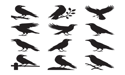 Fototapeta premium set of silhouettes of birds