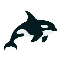 Naklejka premium Flat illustration of a killer whale, orca, with black and white markings. Minimalist ocean animal design, ideal for marine life themes, educational content, and aquatic wildlife visuals. Vector