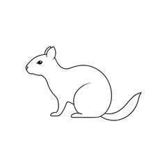 Obraz premium Texas Antelope Squirrel on White Background Small Rodent