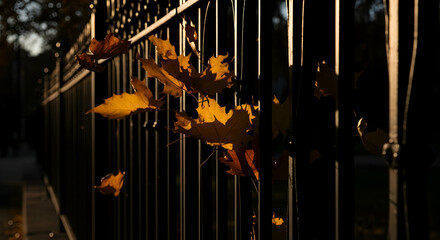 Autumnal Dance Fallen Leaves Caught on an Iron Fence at Dusk