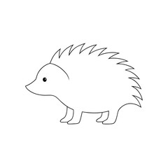 Thick-Spined Porcupine on White Background African Rodent