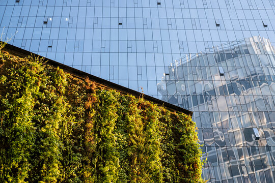 Vertical garden integrated into a glass building facade combining greenery and modern architectural elements under blue sky