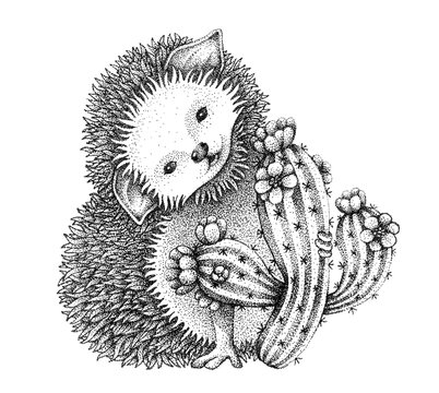 Hedgehog with cactus, dotwork . Black and white. 