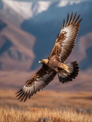Fototapeta premium Majestic Eagle Soaring Over a Scenic Mountain Landscape at Sunset