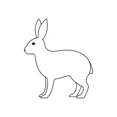 Obraz premium Yarkand Hare on White Background: Wild Rabbit Illustration
