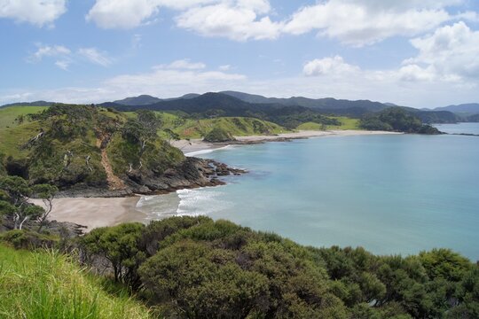 Landscape of Tutukaka, Bay of Islands, Northeast Coast, North Island, New Zealand