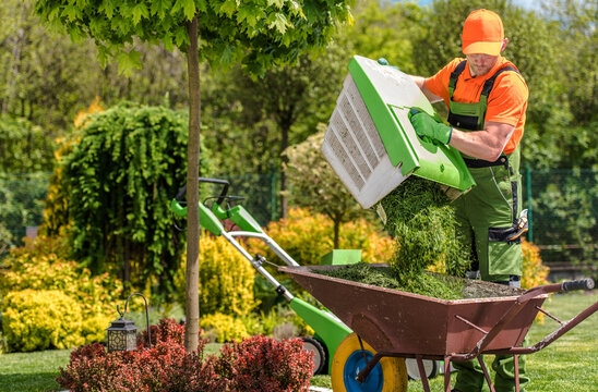 Gardener Working in Colorful Landscape Using Wheelbarrow for Grass Clippings in Springtime Setting - Powered by Adobe