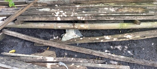 Discarded Weathered Wood Planks and Bamboo on Dark Ground
