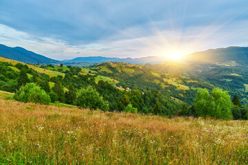 Wildflower Meadow Mountain Hills View