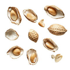 Isolated Shelled and Unshelled Peanuts