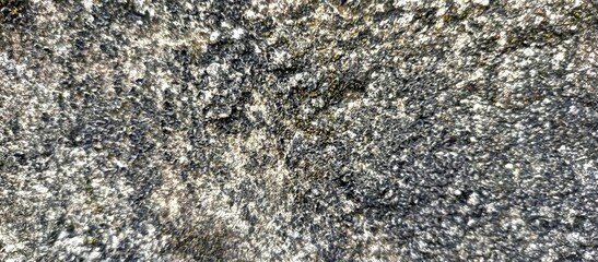 Rough Natural Granite Stone Surface with Moss Details