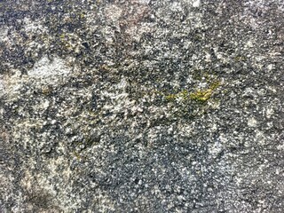 Rough Natural Granite Stone Surface with Moss Details