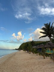 tropical beach with palm trees