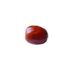 Single Horse Chestnut: A close-up shot reveals the smooth, glossy surface of a single, vibrant horse chestnut, showcasing its rich brown hue.