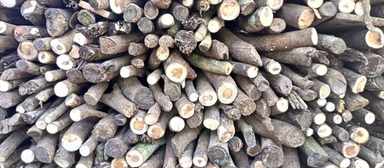 Stacked Firewood Logs Texture with Exposed End Grain