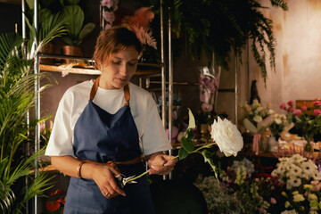 Middle-aged female florist in apron arranging fresh flowers for bouquet in the flower shop. Small...