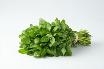Fresh green basil bundle displayed on a light background in a kitchen setting