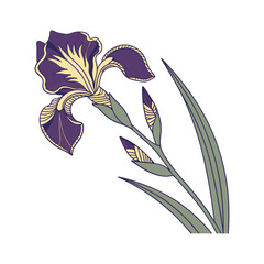Naklejka premium Elegant purple and yellow iris flower with buds and leaves