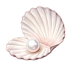 Seashell with clear pearl isolated on white background