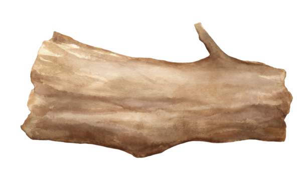 Watercolor tree, wood trunk isolated on white background. Hand painted illustration