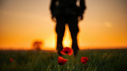 Silhouette of soldier standing in field with red poppies at sunset, remembrance day tribute, military commemoration, honoring fallen heroes, national memory, symbolic landscape