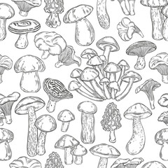Mushrooms. Seamless vector pattern on white. Hand drawn illustration. Perfect for design templates, wallpaper, wrapping, fabric, print and textile. 