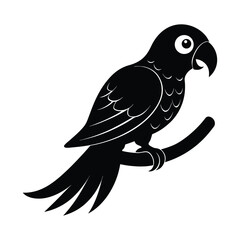 Black Parrot Silhouette. 