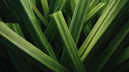 Obraz premium Textured green foliage close-up creates a vibrant and natural backdrop