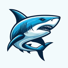 fierce shark vector image