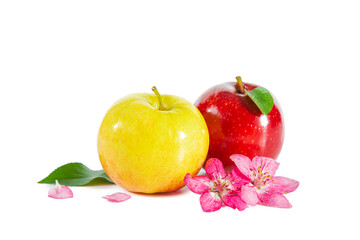 Shiny juicy red and yellow apples with apple blossoms and leaves isolated on white.