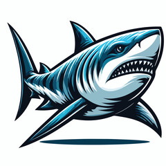 fierce shark vector image