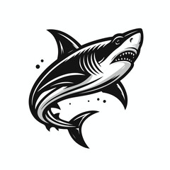 fierce shark vector image