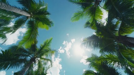 Fototapeta premium Tropical canopy view featuring vibrant palm fronds against serene blue skies